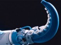 festo公司octopusgripper以生物作为模型，模仿不同动物的抓握机能