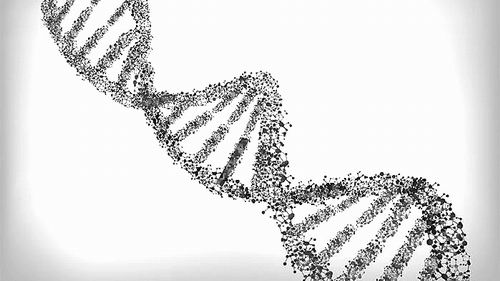 DNA数据存储新法问世 解决人类面临的数据存储问题