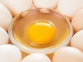央视315为鸡蛋正名:吃蛋黄不会使胆固醇升高 “乒乓球鸡蛋”不是假鸡蛋