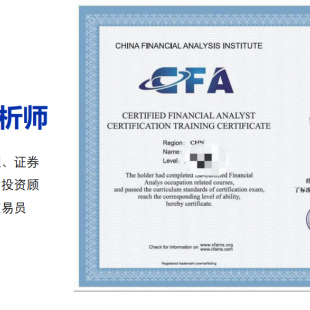 CFA注册金融分析师 (4)