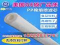 供应厂家直销美国GEPP棉滤芯PX05-40纸浆及造纸行业专用