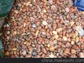 白芝麻卵石，红芝麻卵石，桔红卵石，花岗岩卵石