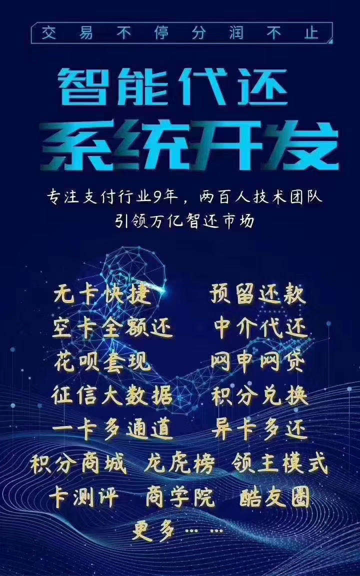 智还系统开发公司