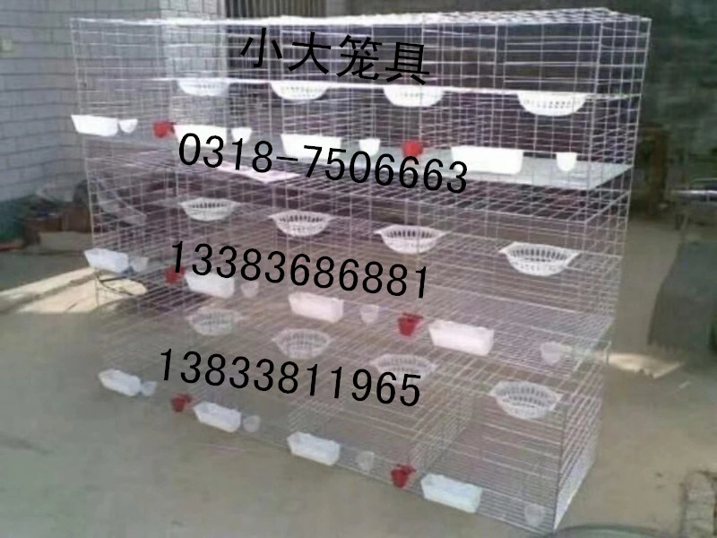 出售鸽子笼 兔子笼 鸡笼 鸟笼 狗笼 鹌鹑笼 运输笼 运输筐