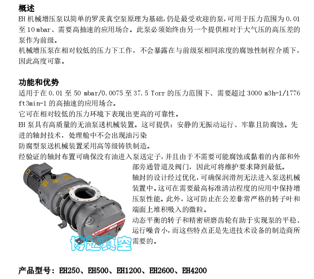 爱德华罗茨真空泵