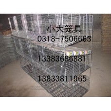 卖鸽子笼兔子笼鹌鹑笼鹧鸪笼运输笼狐狸笼鸡笼狗笼鸟笼猫笼