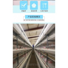 肉鸡笼鸡笼鸭笼自动化养鸡设备山东金石农牧机械