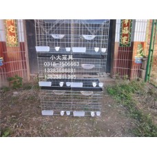出售鸡笼鸽笼兔笼鹌鹑笼运输笼竹鼠笼猫笼狗笼鹧鸪笼鸭子笼宠物笼