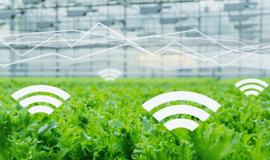 农业信息化和数字化如何推动农业现代化？