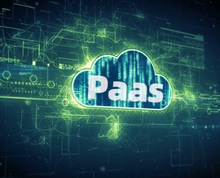 Paas_Paas是什么意思_Saas